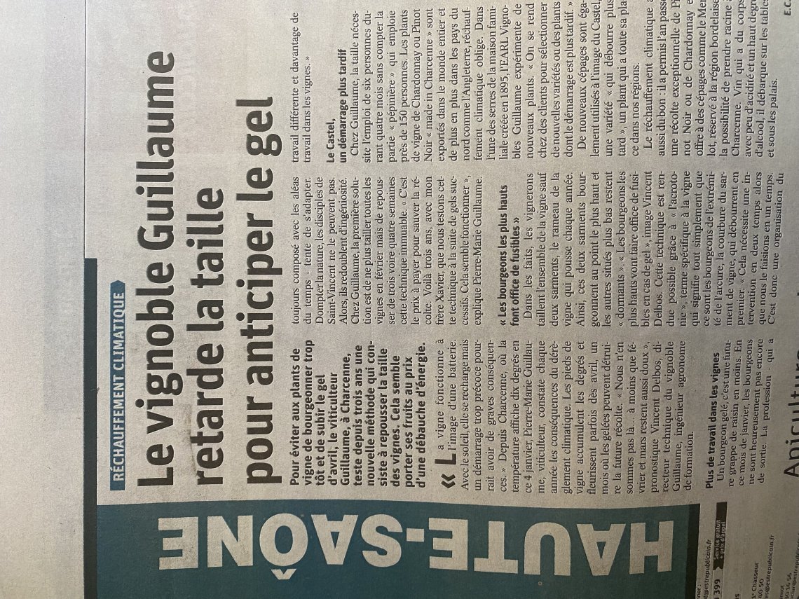 VIGNOBLE GUILLAUME Pépinières Guillaume